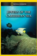 Watch National Geographic Jewels of the Caribbean Sea Nowvideo
