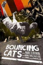 Watch Bouncing Cats Nowvideo