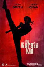 Watch The Karate Kid Nowvideo