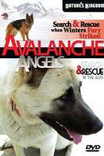 Watch Avalanche Angels Nowvideo