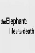 Watch The Elephant - Life After Death Nowvideo
