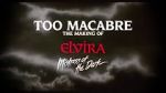 Watch Too Macabre: The Making of Elvira, Mistress of the Dark Nowvideo