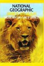 Watch National Geographic:  Walking with Lions Nowvideo