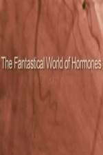 Watch The Fantastical World Of Hormones With Dr John Wass Nowvideo