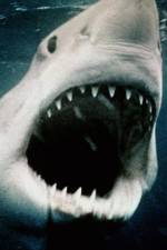 Watch Sharkmania: The Top 15 Biggest Baddest Bloodiest Bites Nowvideo
