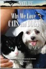 Watch Why We Love Cats And Dogs Nowvideo
