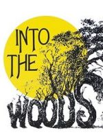 Watch Into the Woods Nowvideo