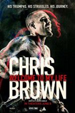 Watch Chris Brown Welcome to My Life Nowvideo