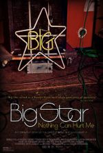 Watch Big Star: Nothing Can Hurt Me Nowvideo
