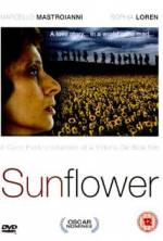 Watch Sunflower Nowvideo