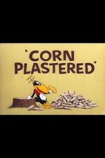 Watch Corn Plastered (Short 1951) Nowvideo