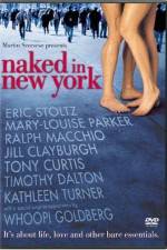 Watch Naked in New York Nowvideo