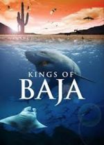 Watch Kings of Baja Nowvideo