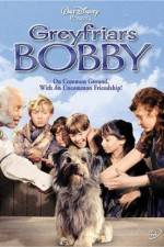 Watch Greyfriars Bobby The True Story of a Dog Nowvideo
