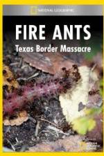 Watch National Geographic Fire Ants: Texas Border Massacre Nowvideo