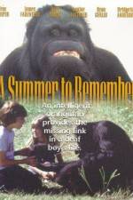 Watch A Summer to Remember Nowvideo