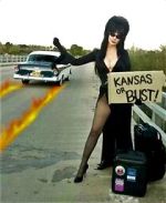 Watch The Elvira Show Nowvideo