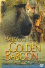 Watch National Geographic Golden Baboons Nowvideo