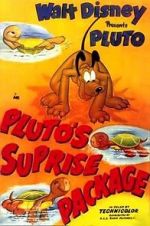 Watch Pluto\'s Surprise Package Nowvideo