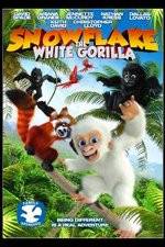 Watch Snowflake, the White Gorilla Nowvideo