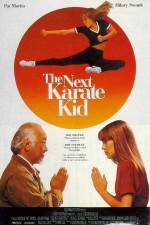Watch The Next Karate Kid Nowvideo