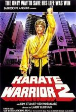 Watch Karate Warrior 2 Nowvideo