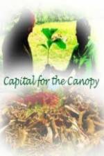 Watch Capital for the Canopy Nowvideo