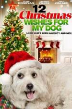 Watch 12 Christmas Wishes For My Dog Nowvideo