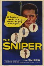 Watch The Sniper Nowvideo