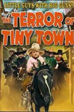 Watch The Terror of Tiny Town Nowvideo
