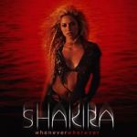 Watch Shakira: Whenever, Wherever Nowvideo