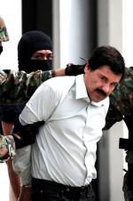 Watch The Rise and Fall of El Chapo Nowvideo