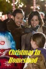 Watch Christmas in Homestead Nowvideo