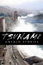 Watch Tsunami: Untold Stories Nowvideo