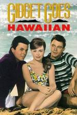 Watch Gidget Goes Hawaiian Nowvideo