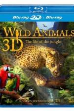 Watch Wild Animals - The Life of the Jungle 3D Nowvideo