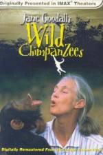 Watch Jane Goodall's Wild Chimpanzees Nowvideo