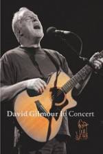 Watch David Gilmour in Concert - Live at Robert Wyatt's Meltdown Nowvideo