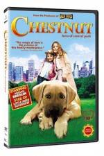 Watch Chestnut - Hero of Central Park Nowvideo
