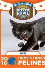 Watch Kitten Bowl III Nowvideo