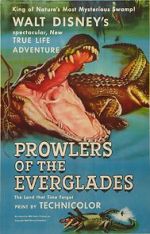 Watch Prowlers of the Everglades (Short 1953) Nowvideo