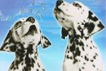 Watch 101 Dalmatians Sing Along Nowvideo