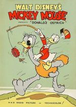 Watch Donald\'s Ostrich (Short 1937) Nowvideo