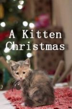 Watch A Kitten Christmas Nowvideo