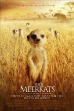 Watch The Meerkats Nowvideo