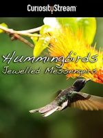 Watch Hummingbirds Jewelled Messengers Nowvideo
