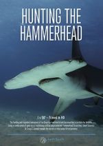 Watch Hunting the Hammerhead Nowvideo