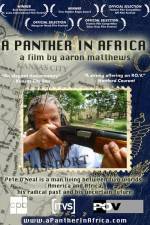 Watch A Panther in Africa Nowvideo
