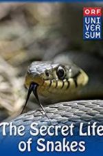 Watch The Secret Life of Snakes Nowvideo