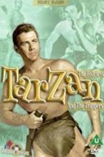 Watch Tarzan and the Trappers Nowvideo